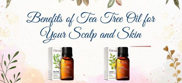 Benefits Of Tea Tree Oil For Your Scalp And Skin