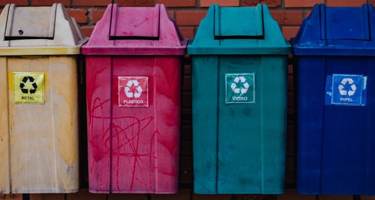 Image showcasing effective waste management with various types of labeled dustbins for recycling and disposal.